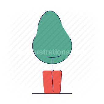 plant, nature, tree, potted plant, pot